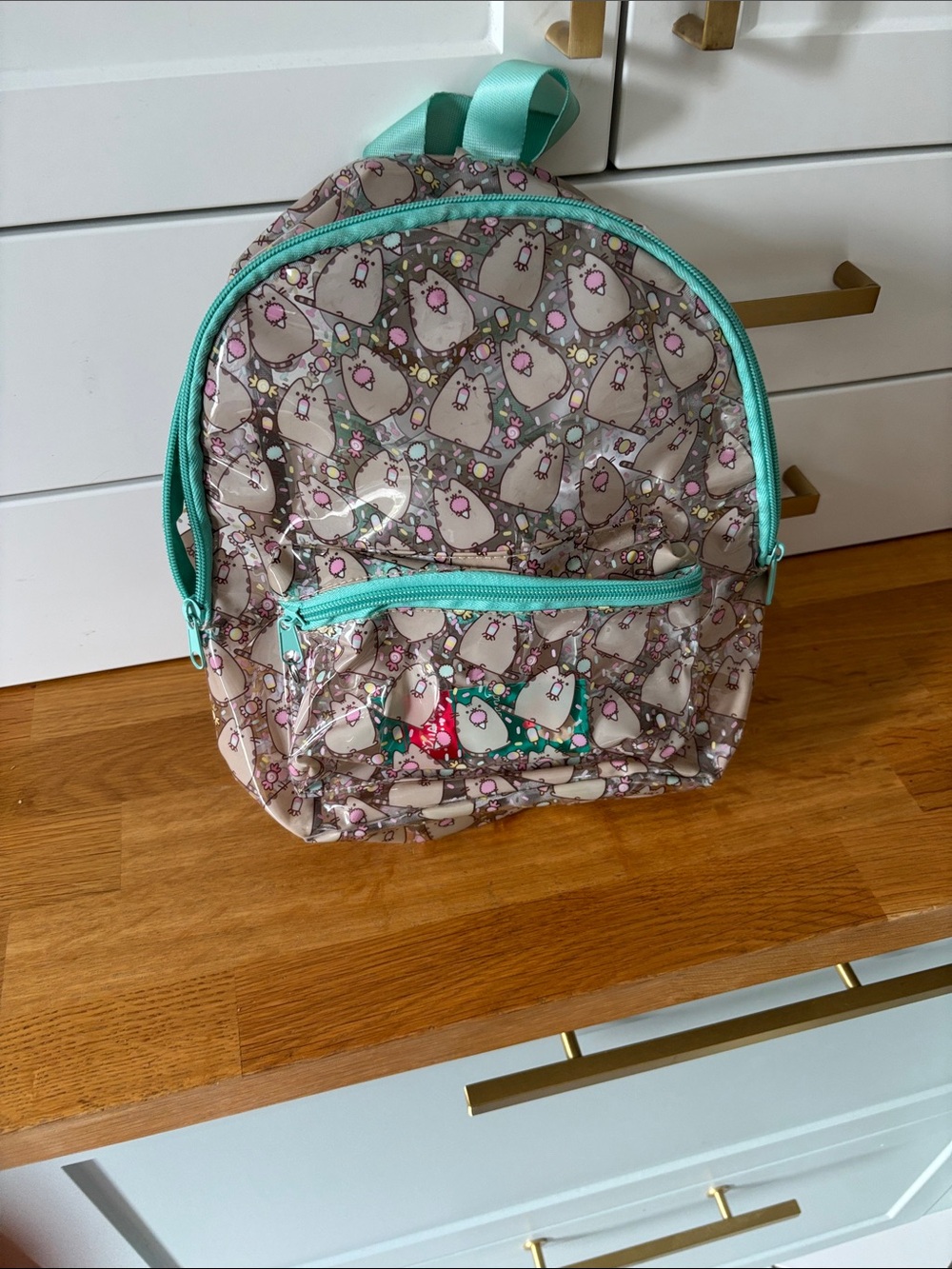Pusheen Kids Clear Pink  Print Backpack with Aqua Trim perfect for concerts